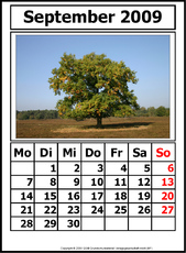9-Kalender-N-09-September.jpg